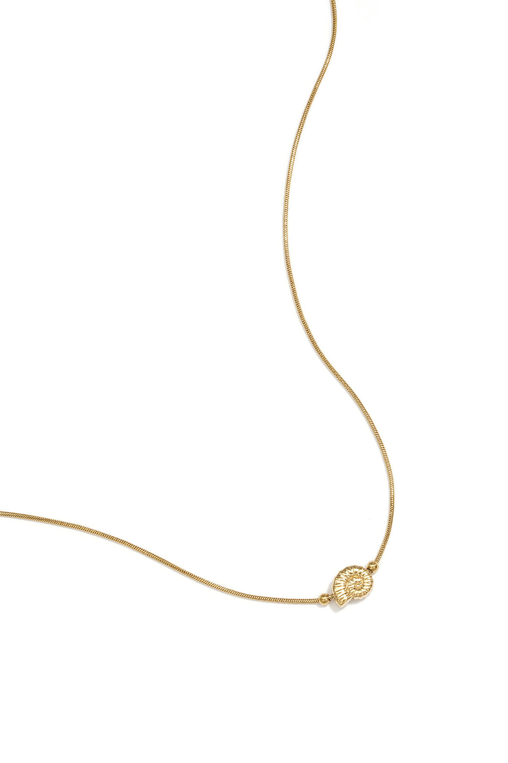 Collar Conchiglia · caracola de acero dorado