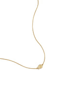 Collar Conchiglia · caracola de acero dorado