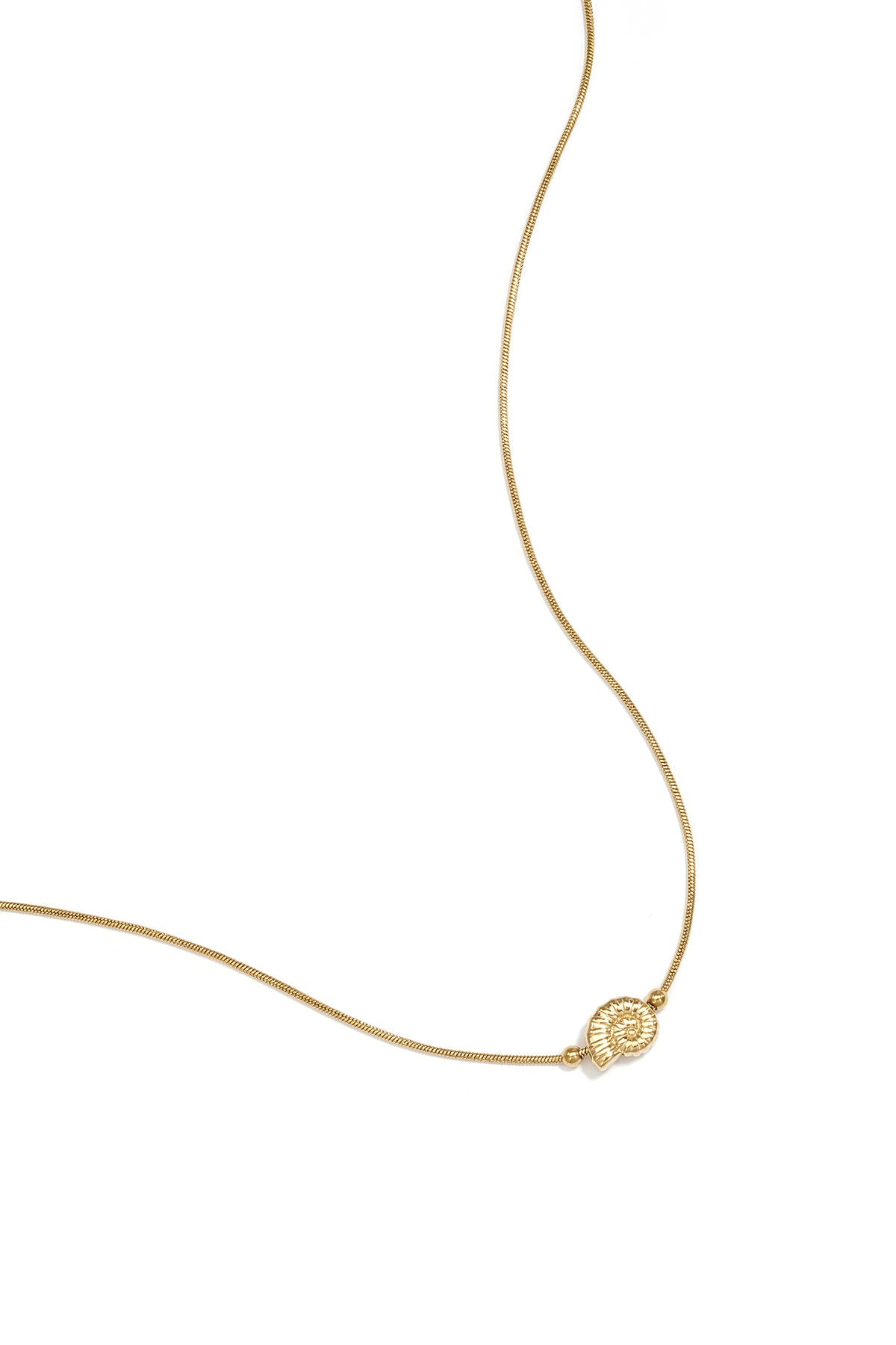 Collar Conchiglia · caracola de acero dorado